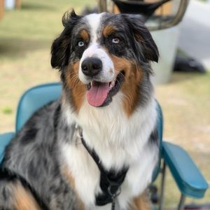 Meet your Posher, Crystal